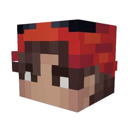 Wolfi_013 Minecraft avatar head, 3D render