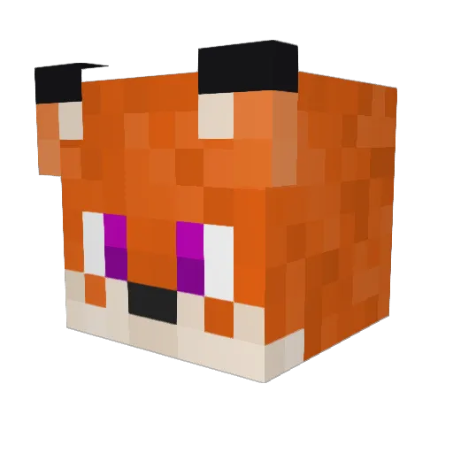 Wolfi_Man Minecraft avatar head, 3D render