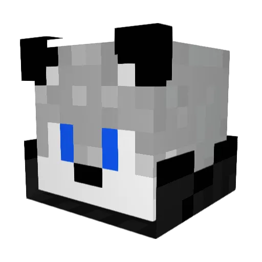 Wolfi_n_Space Minecraft avatar head, 3D render