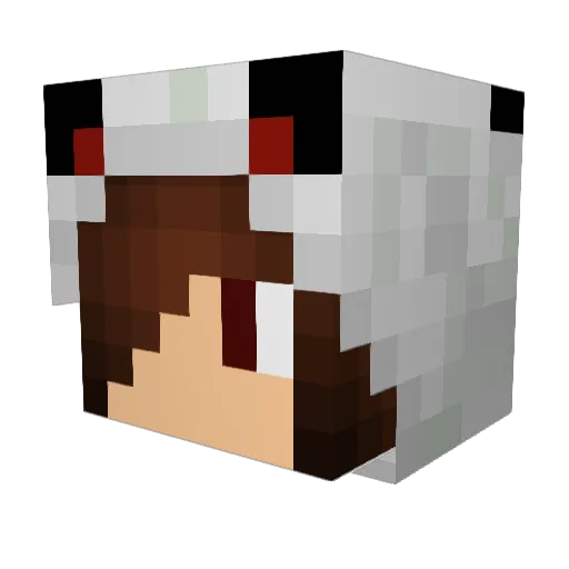 Wolfie0910 Minecraft avatar head, 3D render