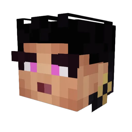 Wolfie1180 Minecraft avatar head, 3D render