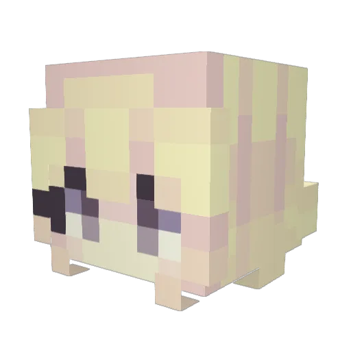 Wolfie236 Minecraft avatar head, 3D render