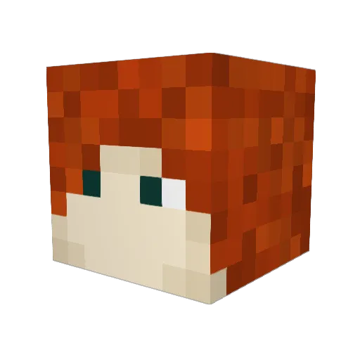 Wolfie54545 Minecraft avatar head, 3D render