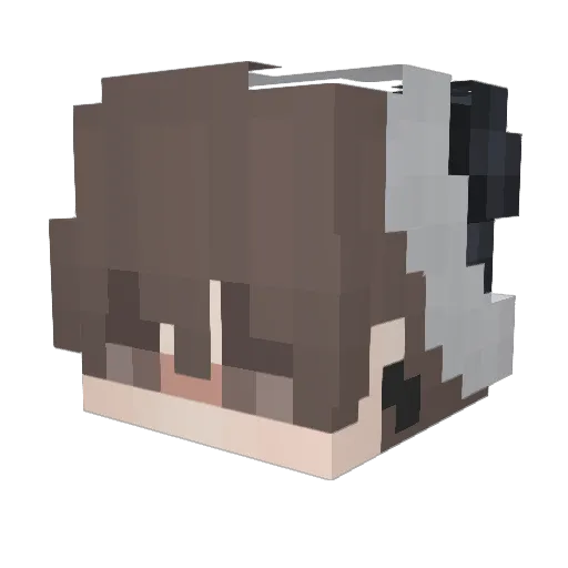 Wolfie56 Minecraft avatar head, 3D render
