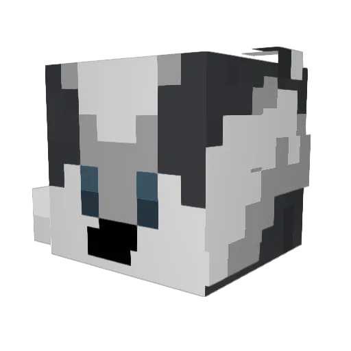 Wolfie642 Minecraft avatar head, 3D render