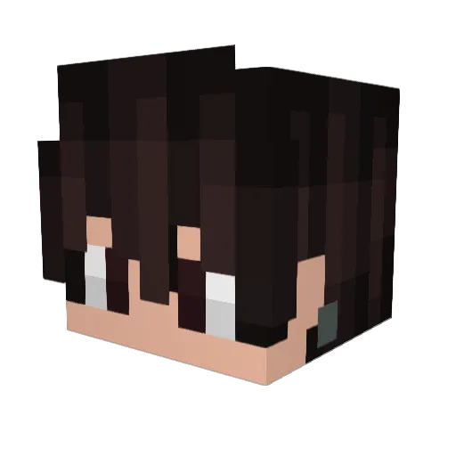 Wolfie9888 Minecraft avatar head, 3D render