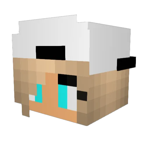 WolfieGamer15 Minecraft avatar head, 3D render