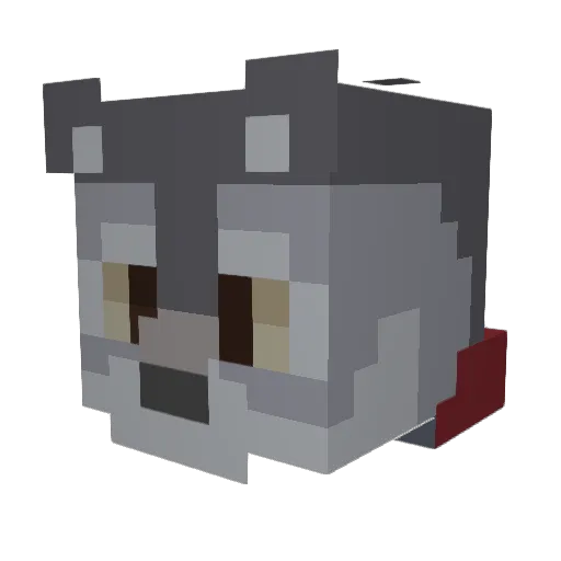 WolfieTheWomfie Minecraft avatar head, 3D render