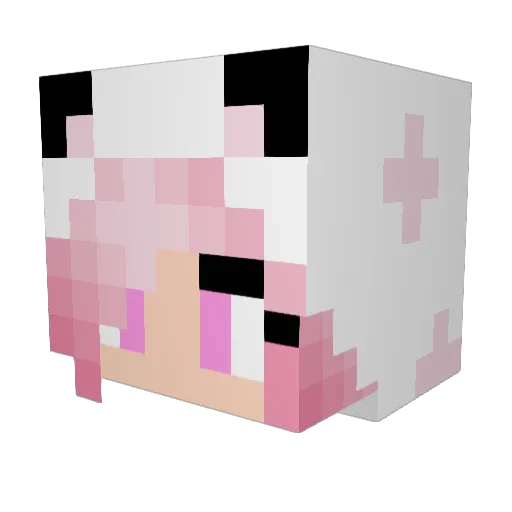 Wolfie_Gaming2 Minecraft avatar head, 3D render