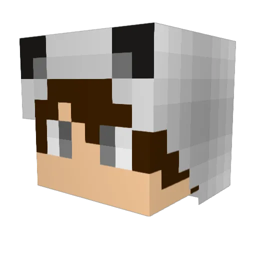 Wolfie__999 Minecraft avatar head, 3D render