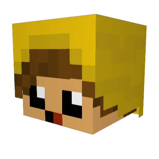 Wolfie_xp Minecraft avatar head, 3D render
