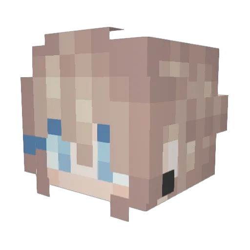 Wolfietok Minecraft avatar head, 3D render