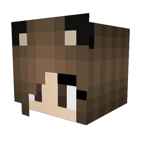 Wolfiexx Minecraft avatar head, 3D render