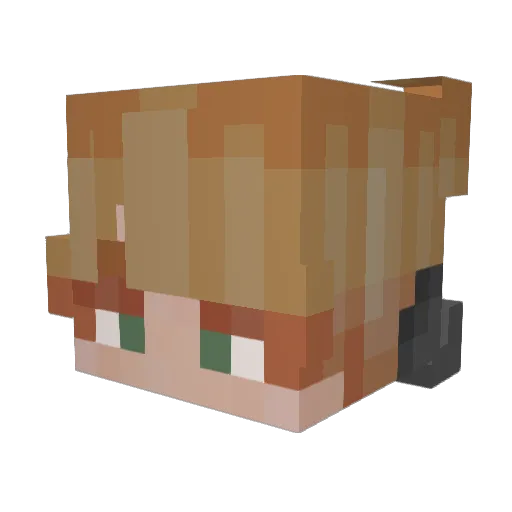 Wolfiiiii Minecraft avatar head, 3D render