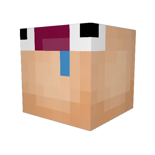 Wolfin2005 Minecraft avatar head, 3D render
