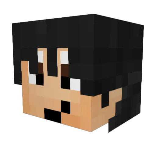 WolfinatorUS Minecraft avatar head, 3D render