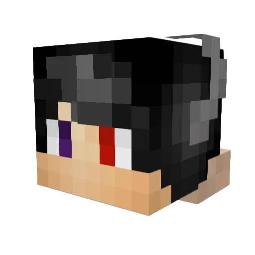 Wolfix21 Minecraft avatar head, 3D render