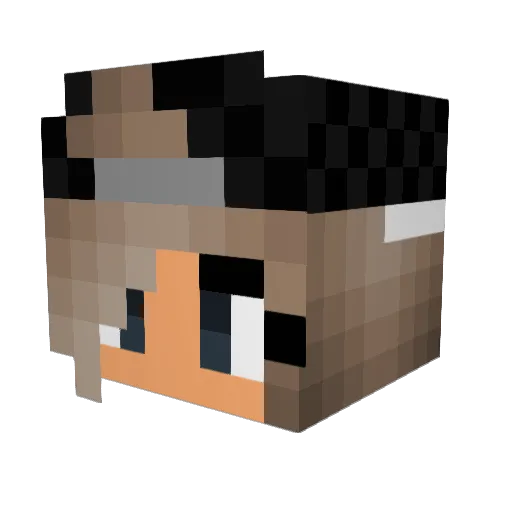 Wolfiy16 Minecraft avatar head, 3D render