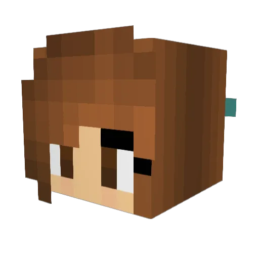 Wolflover223 Minecraft avatar head, 3D render