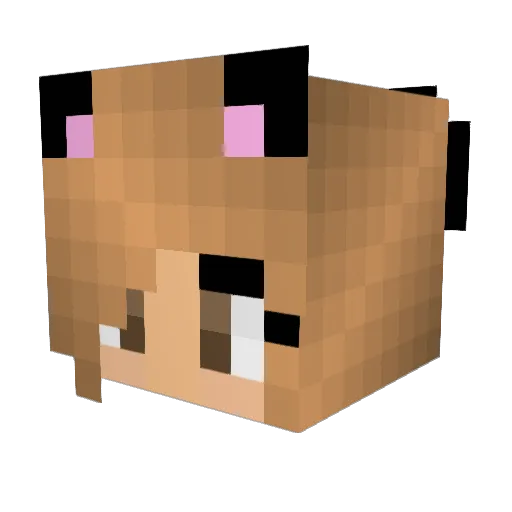 WolflyDragon Minecraft avatar head, 3D render
