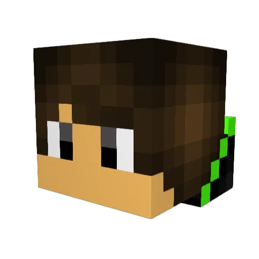 Wolfnite428 Minecraft avatar head, 3D render