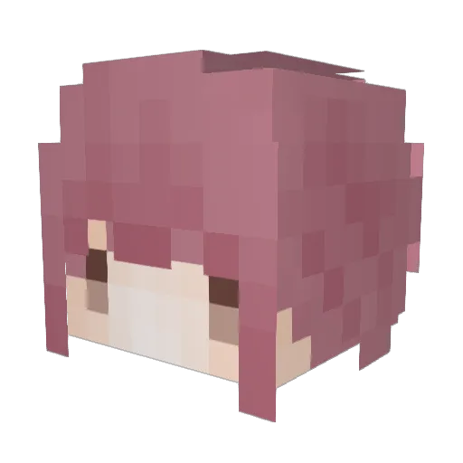 WolfoDuden Minecraft avatar head, 3D render