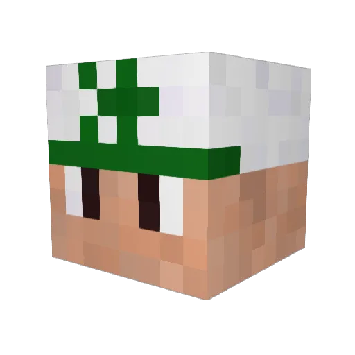 Wolfowl77 Minecraft avatar head, 3D render