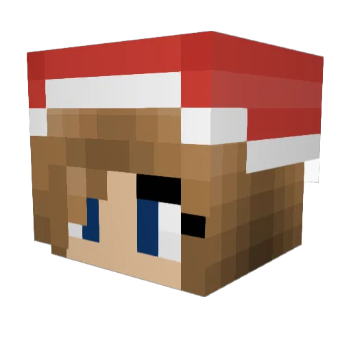 Wolfpack17 Minecraft avatar head, 3D render