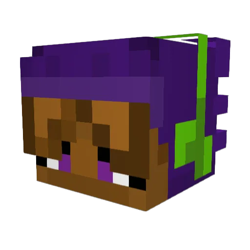 Wolfpack1op Minecraft avatar head, 3D render