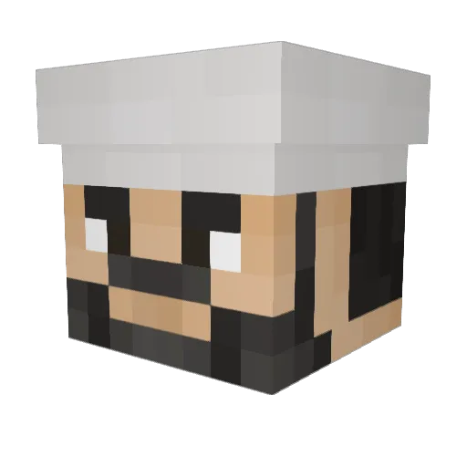 Wolfpack2015 Minecraft avatar head, 3D render