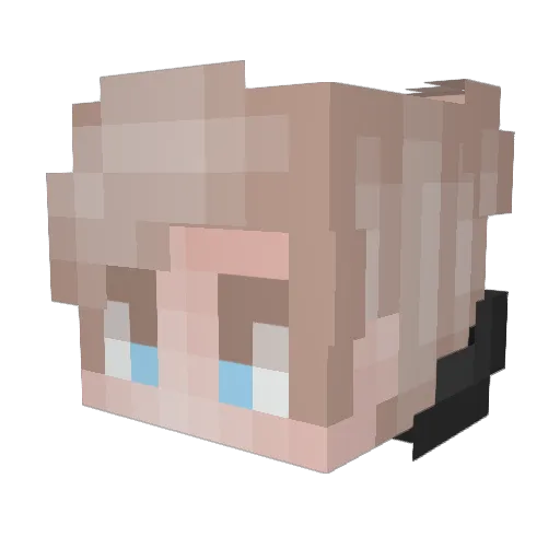 Wolfplays29 Minecraft avatar head, 3D render