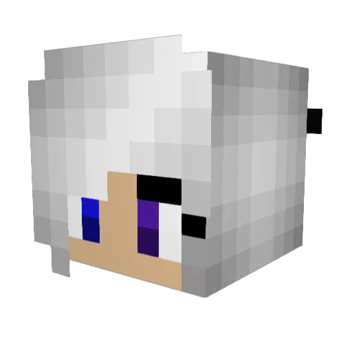 Wolfpup709 Minecraft avatar head, 3D render