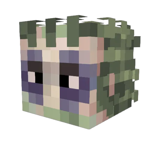 Wolfrow Minecraft avatar head, 3D render