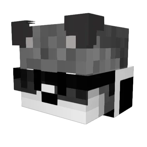 Wolfrunner_66 Minecraft avatar head, 3D render