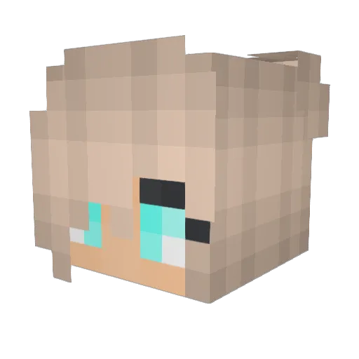 Wolfs103 Minecraft avatar head, 3D render