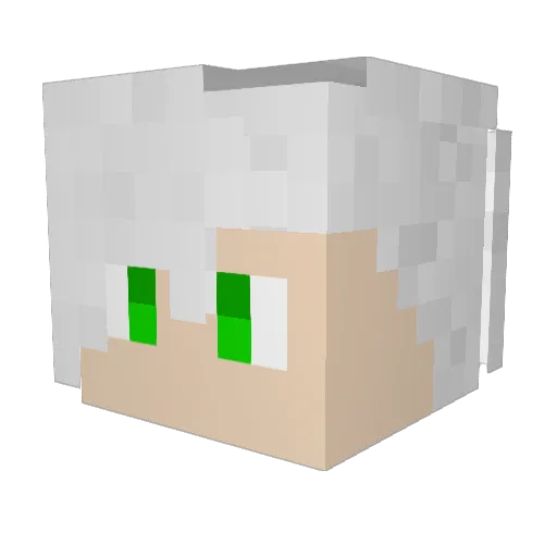 WolfsDen223 Minecraft avatar head, 3D render