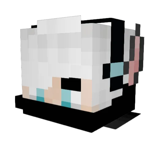 WolfsSohn01 Minecraft avatar head, 3D render