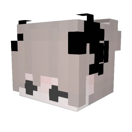 Wolfscout7089 Minecraft avatar head, 3D render
