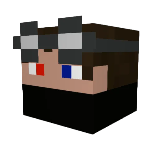 Wolfvoyager Minecraft avatar head, 3D render