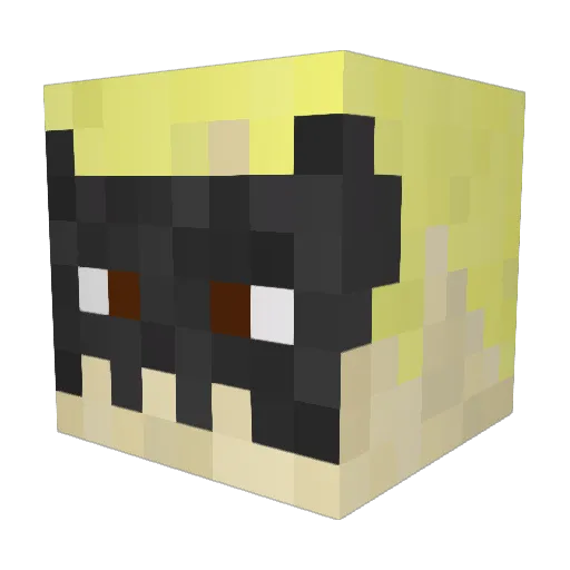 Wolfy0118 Minecraft avatar head, 3D render