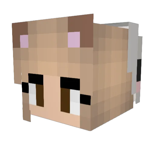 Wolfy0307 Minecraft avatar head, 3D render