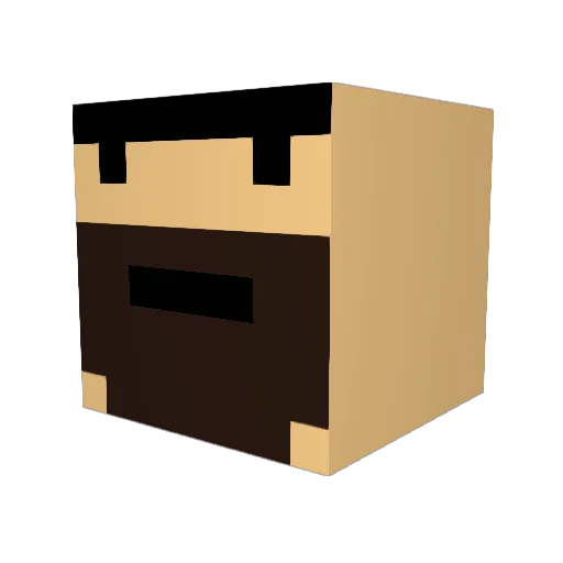 Wolfy1812 Minecraft avatar head, 3D render