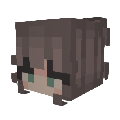 Wolfy3003 Minecraft avatar head, 3D render