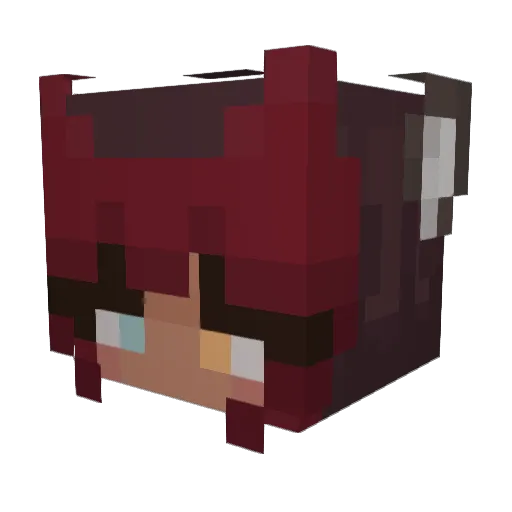 Wolfy4245 Minecraft avatar head, 3D render