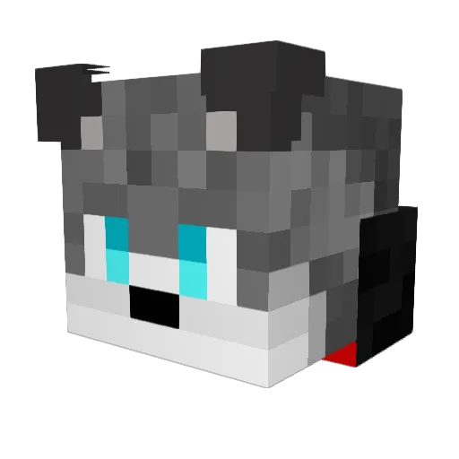 Wolfy710 Minecraft avatar head, 3D render