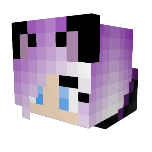Wolfy8079 Minecraft avatar head, 3D render