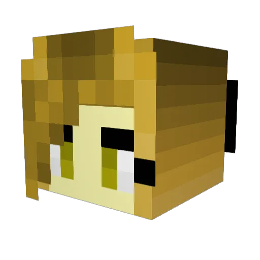 WolfyCatGamer Minecraft avatar head, 3D render