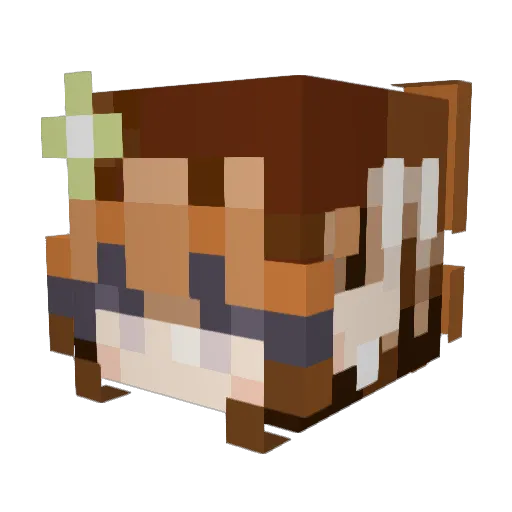WolfyChun Minecraft avatar head, 3D render