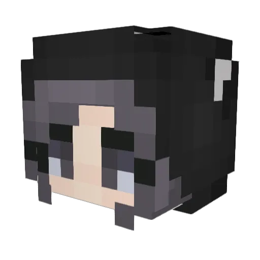 WolfyHoe Minecraft avatar head, 3D render