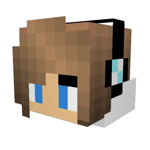 WolfyNinja101 Minecraft avatar head, 3D render